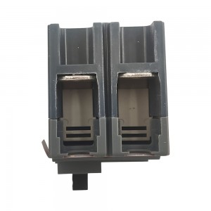 EZC100H2050 circuit breaker EasyPact EZC100H TMD 50A 2 poles 2d